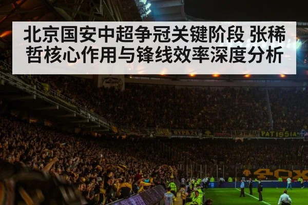 soccer stadium crowd night